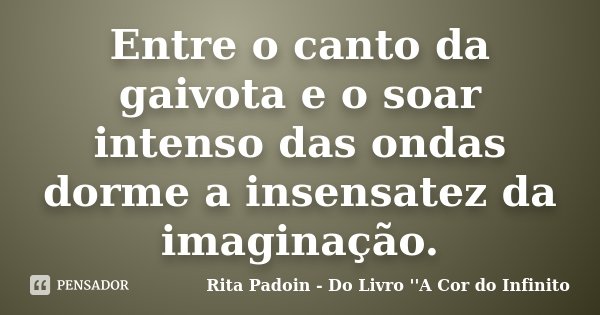 Entre o canto da gaivota e o soar intenso das ondas dorme a insensatez da imaginação.... Frase de Rita Padoin - Do Livro ''A Cor do Infinito.