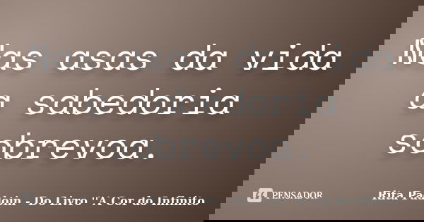 Nas asas da vida a sabedoria sobrevoa.... Frase de Rita Padoin - Do Livro ''A Cor do Infinito.