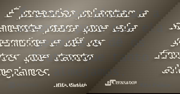 É preciso plantar a semente para que ela germine e dê os frutos que tanto almejamos.... Frase de Rita Padoin.