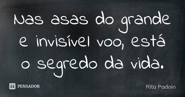 Nas asas do grande e invisível voo, está o segredo da vida.... Frase de Rita Padoin.