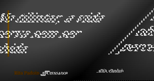 No tilintar, a vida observa sem ser percebida.... Frase de Rita Padoin.