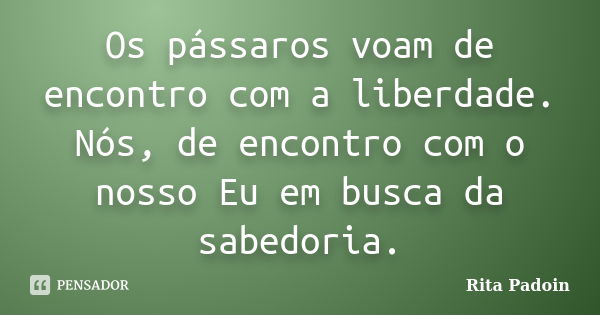 Os pássaros voam de encontro com a liberdade. Nós, de encontro com o nosso Eu em busca da sabedoria.... Frase de Rita Padoin.