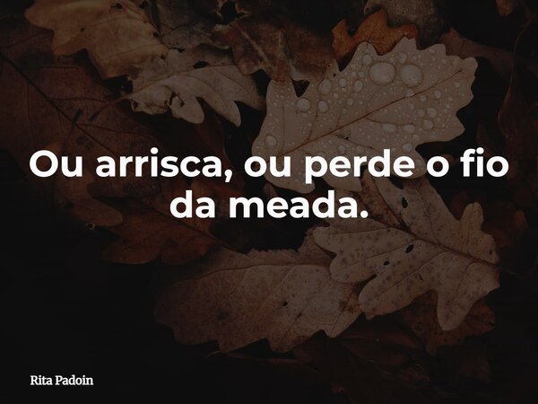 Ou arrisca, ou perde o fio da meada.... Frase de Rita Padoin.