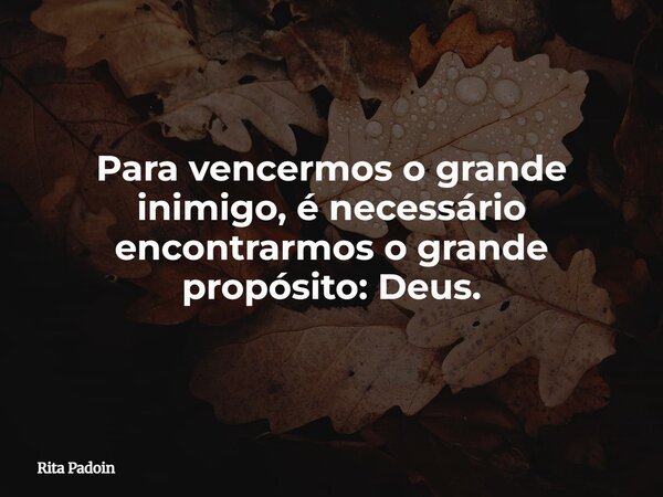 Para vencermos o grande inimigo, é necessário encontrarmos o grande propósito: Deus.... Frase de Rita Padoin.