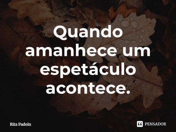 ⁠Quando amanhece um espetáculo acontece.... Frase de Rita Padoin.