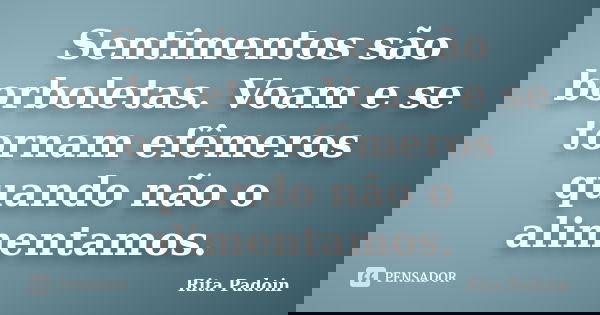 Sentimentos são borboletas. Voam e se tornam efêmeros quando não o alimentamos.... Frase de Rita Padoin.