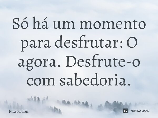 ⁠Só há um momento para desfrutar: O agora. Desfrute-o com sabedoria.... Frase de Rita Padoin.
