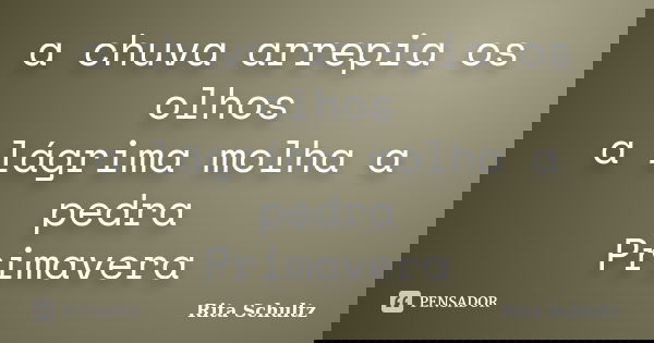 a chuva arrepia os olhos a lágrima molha a pedra Primavera... Frase de Rita Schultz.