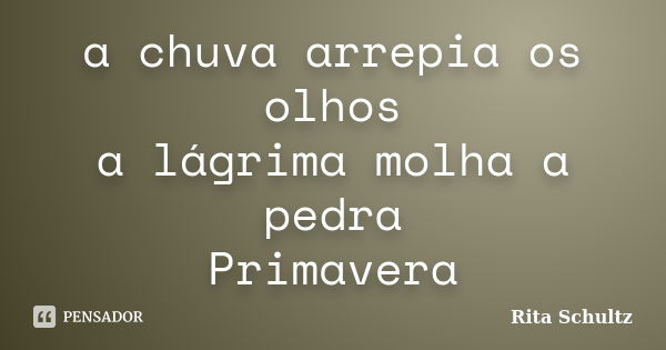 a chuva arrepia os olhos a lágrima molha a pedra Primavera... Frase de Rita Schultz.