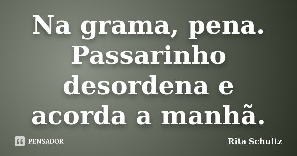 Na grama, pena. Passarinho desordena e acorda a manhã.... Frase de Rita Schultz.