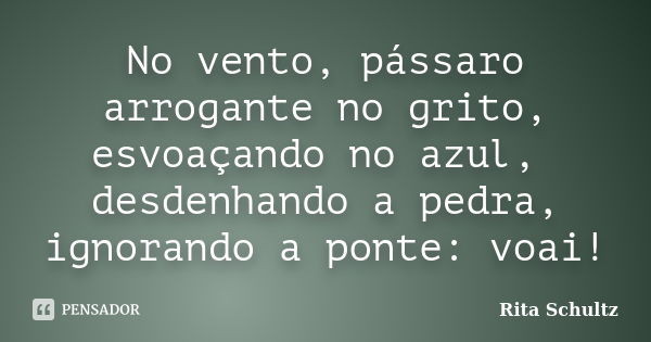 No vento, pássaro arrogante no grito, esvoaçando no azul, desdenhando a pedra, ignorando a ponte: voai!... Frase de Rita Schultz.