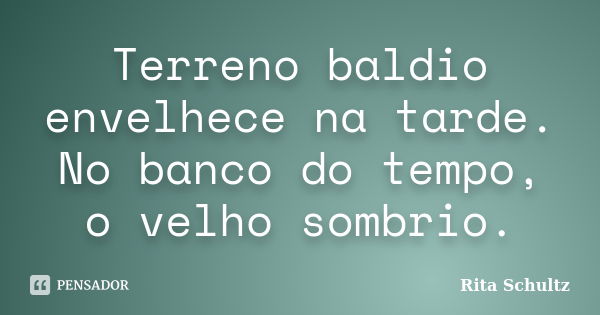 Terreno baldio envelhece na tarde. No banco do tempo, o velho sombrio.... Frase de Rita Schultz.