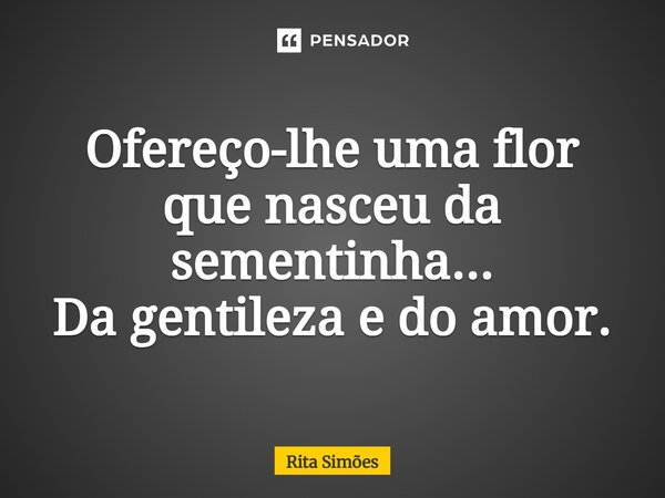 ⁠Ofereço-lhe uma flor que nasceu da sementinha... Da gentileza e do amor.... Frase de Rita Simões.