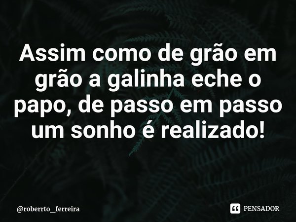 ⁠Assim como de grão em grão a galinha eche o papo, de passo em passo um sonho é realizado!... Frase de roberrto_ferreira.