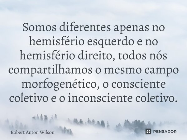 ⁠Somos diferentes apenas no hemisfério esquerdo e no hemisfério direito, todos nós compartilhamos o mesmo campo morfogenético, o consciente coletivo e o inconsc... Frase de Robert Anton Wilson.