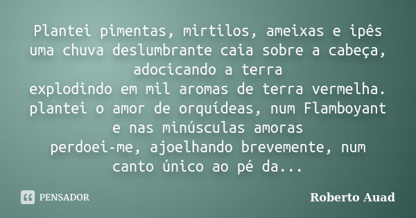 Plantei pimentas, mirtilos, ameixas e ipês uma chuva deslumbrante caia sobre a cabeça, adocicando a terra explodindo em mil aromas de terra vermelha. plantei o ... Frase de roberto auad.