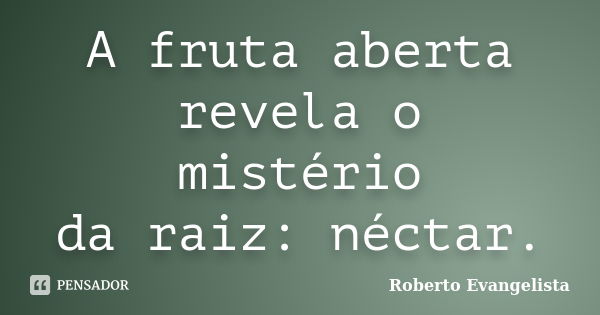 A fruta aberta
revela o mistério
da raiz: néctar.... Frase de Roberto Evangelista.