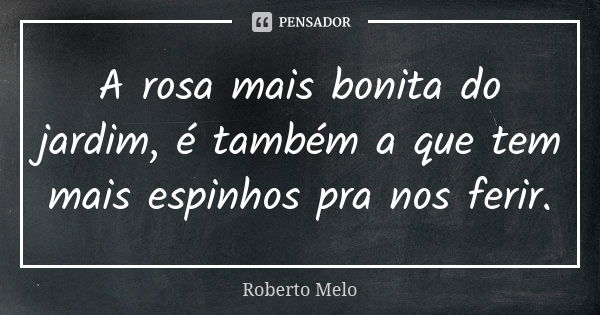 A rosa mais bonita do jardim, é também a que tem mais espinhos pra nos ferir.... Frase de Roberto Melo.