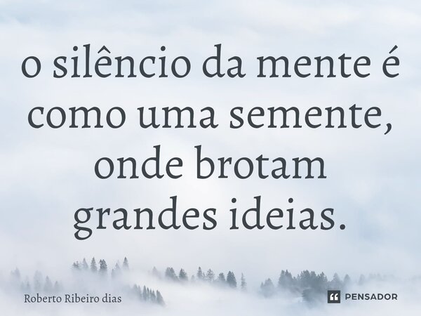 ⁠o silêncio da mente é como uma semente, onde brotam grandes ideias.... Frase de roberto ribeiro dias.