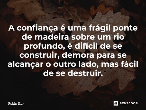 ⁠A confiança é uma frágil ponte de madeira sobre um rio profundo, é difícil de se construir, demora para se alcançar o outro lado, mas fácil de se destruir.... Frase de Robin S.25.