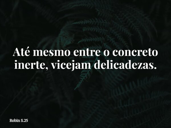 Até mesmo entre o concreto inerte, vicejam delicadezas.... Frase de Robin S.25.