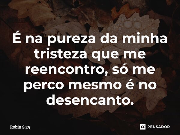 ⁠É na pureza da minha tristeza que me reencontro, só me perco mesmo é no desencanto.... Frase de Robin S.25.