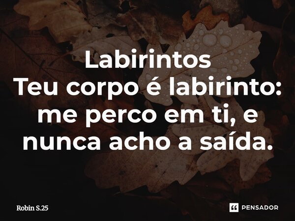 ⁠Labirintos Teu corpo é labirinto: me perco em ti, e nunca acho a saída.... Frase de Robin S.25.
