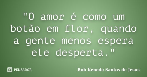 "O amor é como um botão em flor, quando a gente menos espera ele desperta."... Frase de Rob Kenede Santos de Jesus.