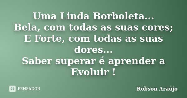 Uma Linda Borboleta... Bela, com todas as suas cores; E Forte, com todas as suas dores... Saber superar é aprender a Evoluir !... Frase de Robson Araújo.