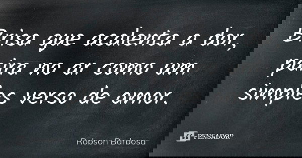 Brisa que acalenta a dor, paira no ar como um simples verso de amor.... Frase de Robson Barbosa.