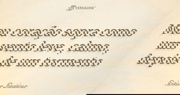 Meu coração sopra como um vento leve, calmo, depois de um tormento... Frase de Robson Barbosa.