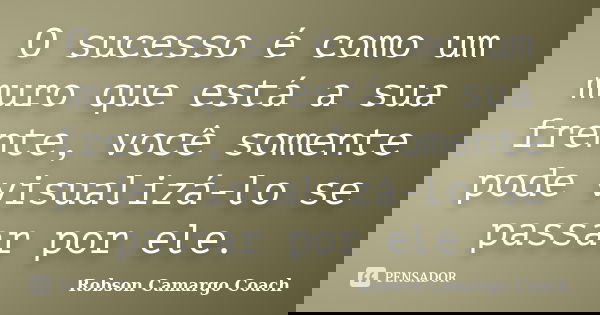 O sucesso é como um muro que está a sua frente, você somente pode visualizá-lo se passar por ele.... Frase de Robson Camargo Coach.