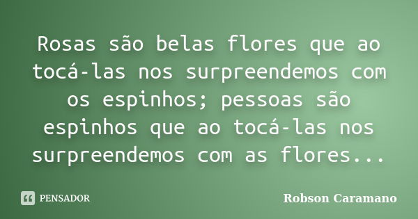 Rosas são belas flores que ao tocá-las nos surpreendemos com os espinhos; pessoas são espinhos que ao tocá-las nos surpreendemos com as flores...... Frase de Robson Caramano.