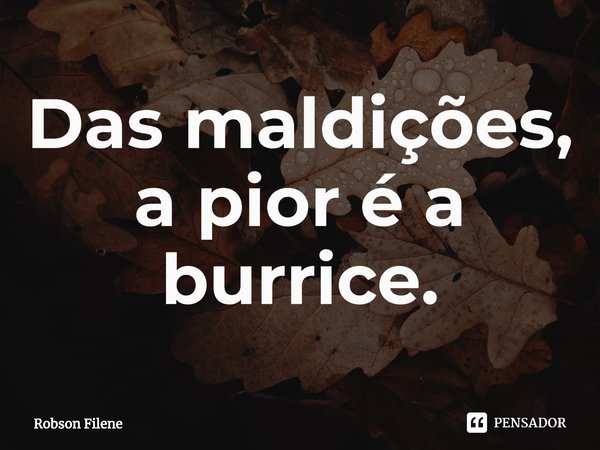 Das maldições, a pior é a burrice.⁠... Frase de Robson Filene.