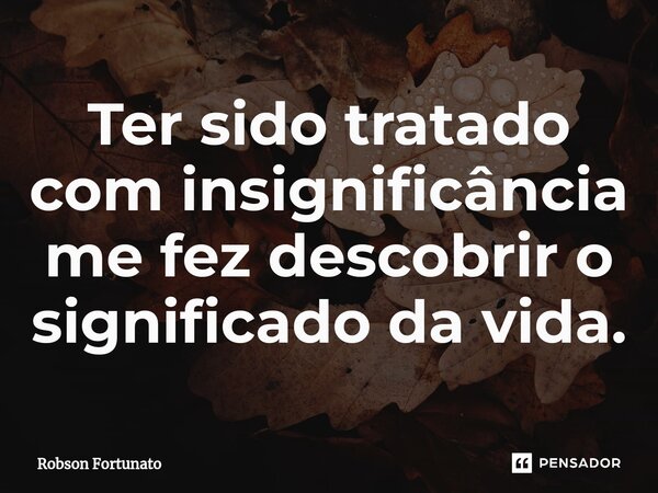 ⁠Ter sido tratado com insignificância me fez descobrir o significado da vida.... Frase de Robson Fortunato.