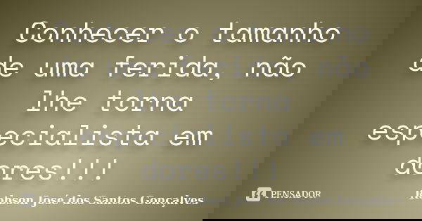 Conhecer o tamanho de uma ferida, não lhe torna especialista em dores!!!... Frase de Robson José dos Santos Gonçalves.
