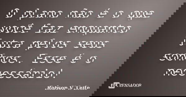 O plano não é o que você faz enquanto luta pelos seus sonhos. Esse é o necessário!... Frase de Robson V. Leite.