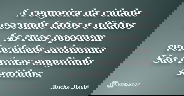 A cegueira da cidade esconde tatos e olfatos As ruas possuem velocidade autônoma São ruínas engolindo sentidos.... Frase de Rocha, David.