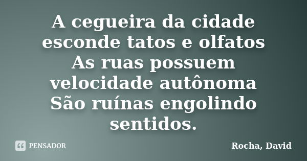 A cegueira da cidade esconde tatos e olfatos As ruas possuem velocidade autônoma São ruínas engolindo sentidos.... Frase de Rocha, David.