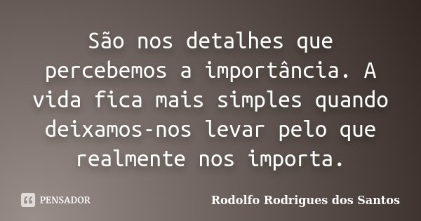 São nos detalhes que percebemos a importância. A vida fica mais simples quando deixamos-nos levar pelo que realmente nos importa.... Frase de Rodolfo Rodrigues dos Santos.