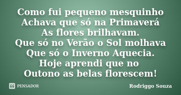 Como fui pequeno mesquinho Achava que só na Primaverá As flores brilhavam. Que só no Verão o Sol molhava Que só o Inverno Aquecia. Hoje aprendi que no Outono as... Frase de Rodriggo Souza.