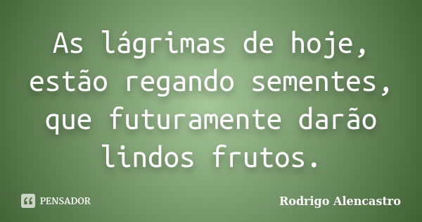 As lágrimas de hoje, estão regando sementes, que futuramente darão lindos frutos.... Frase de Rodrigo Alencastro.