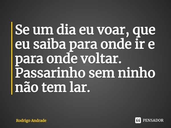 ⁠Se um dia eu voar, que eu saiba para onde ir e para onde voltar. Passarinho sem ninho não tem lar.... Frase de Rodrigo Andrade.