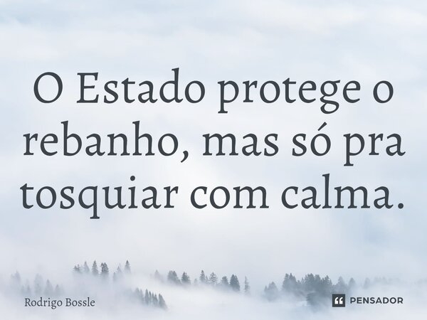 ⁠O Estado protege o rebanho, mas só pra tosquiar com calma.... Frase de Rodrigo Bossle.