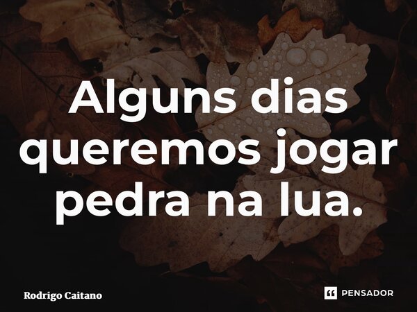 ⁠Alguns dias queremos jogar pedra na lua.... Frase de Rodrigo Caitano.