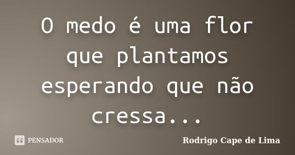 O medo é uma flor que plantamos esperando que não cressa...... Frase de Rodrigo Cape de Lima.