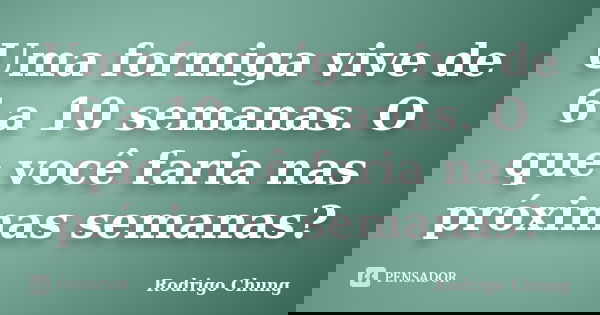 Uma formiga vive de 6 a 10 semanas. O que você faria nas próximas semanas?... Frase de Rodrigo Chung.