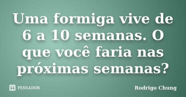 Uma formiga vive de 6 a 10 semanas. O que você faria nas próximas semanas?... Frase de Rodrigo Chung.