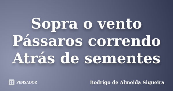 Sopra o vento
Pássaros correndo
Atrás de sementes... Frase de Rodrigo de Almeida Siqueira.