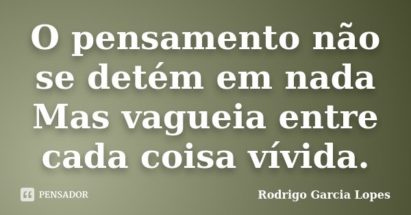 O pensamento não se detém em nada Mas vagueia entre cada coisa vívida.... Frase de Rodrigo Garcia Lopes.